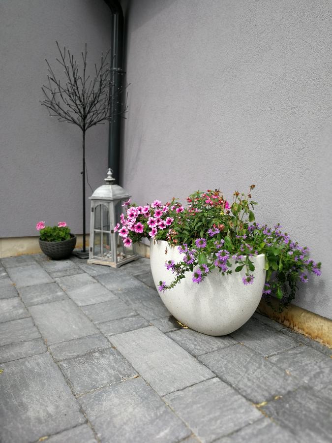 Zsinko Villa เปตช์ ภายนอก รูปภาพ